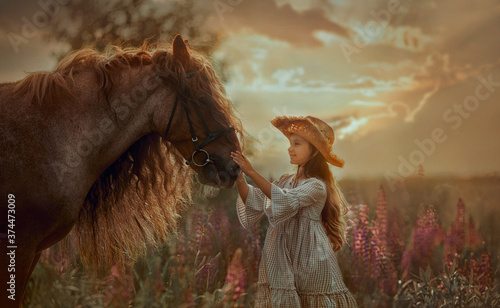 Little girl with red tinker horse (Gypsy cob) in summer evening field