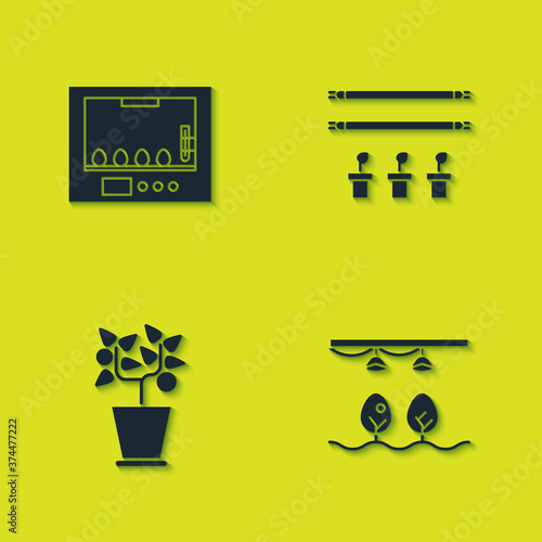 Set Incubator for eggs, Smart farm with bulb and plant, Plant in pot and icon. Vector.