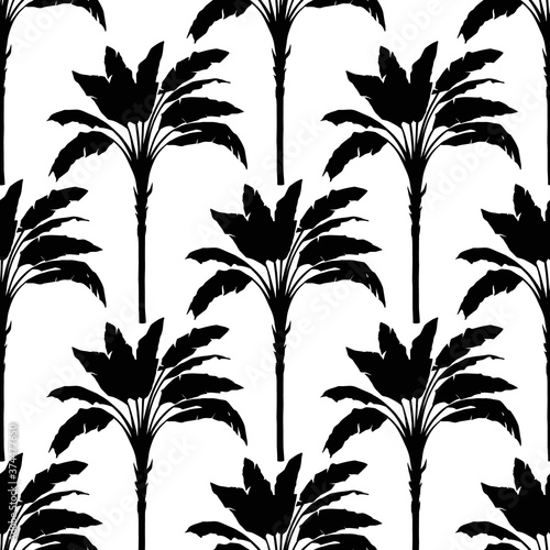 Vector palms and leaves black and white seamless pattern photo