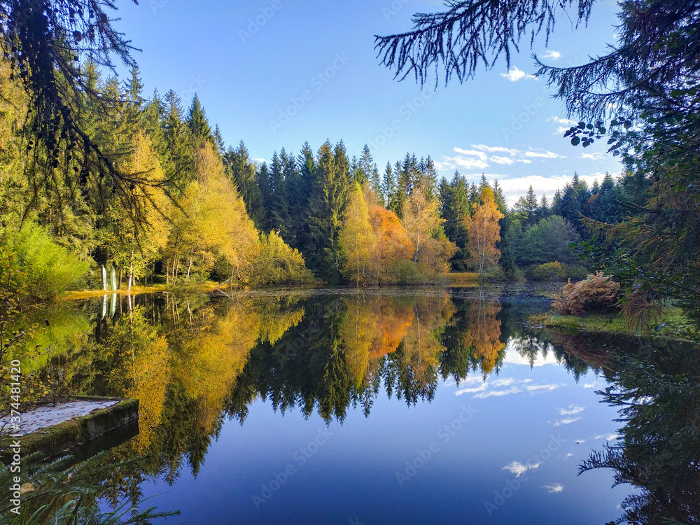 Fototapeta premium stunning colorful forest reflect on lake in autumn