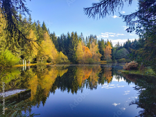 stunning colorful forest reflect on lake in autumn