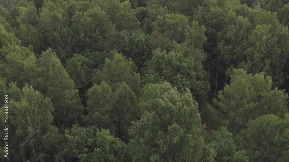 Aerial shot forward fly over wild park or forest in cloudy day Aerial shot forward fly over wild park or forest in cloudy day