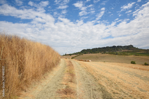 Tuscany landscape  the countryside of Maremma  Saturnia