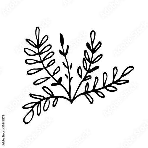 Small bush of grass hand drawn doodle. Sketch twigs with oblong leaves. Black outline plant for postcard poster design element. Stock vector illustration isolated on white background. © AinaLiora