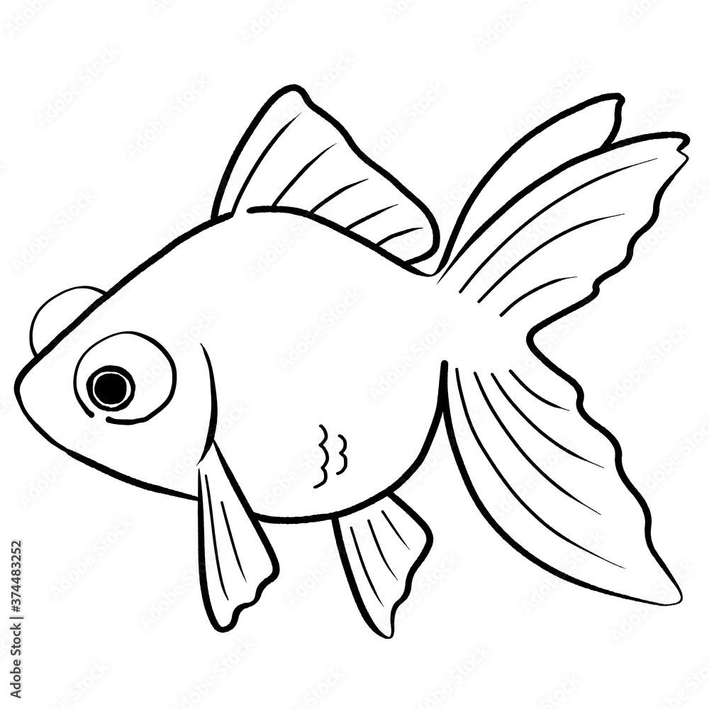 Fototapeta premium 金魚 出目金 アイコン