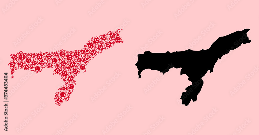 Vector Mosaic Map of Assam State of Viral Parts and Solid Map