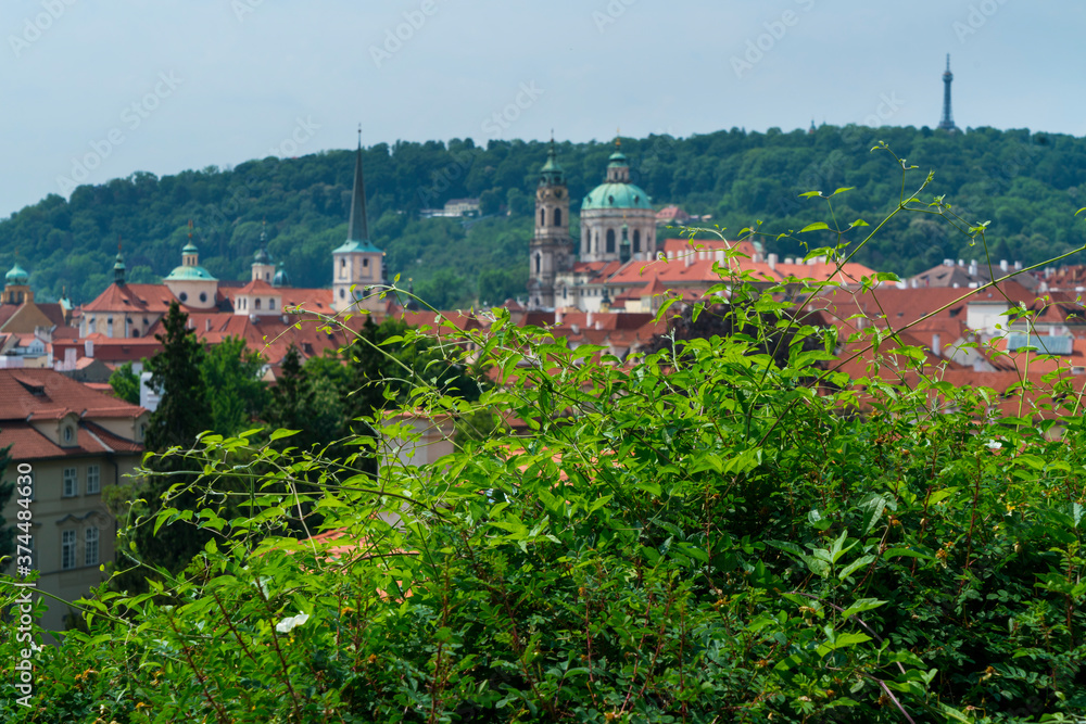 St. Wenceslas' Vineyard, Prague Castle, Prazsky hrad, Prague, Czech Republic, Europe