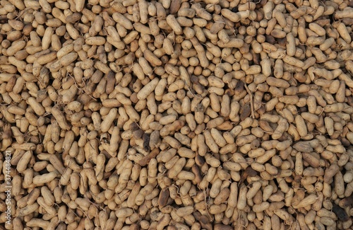 Heap of Roasted Peanut Pods in an Indian Rural Fair for Selling © Arnav