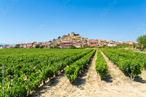 beautiful vineyard with a town at the background in la rioja countryside, spain