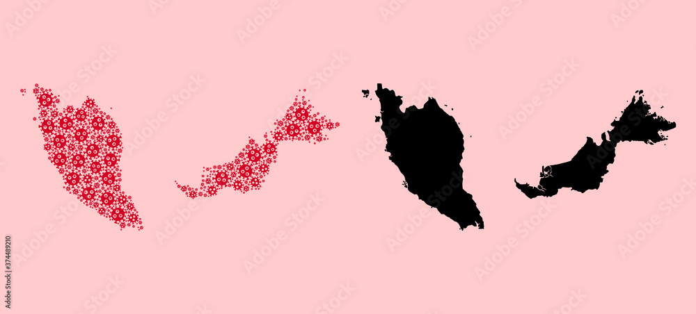 Vector Mosaic Map of Malaysia of Viral Parts and Solid Map
