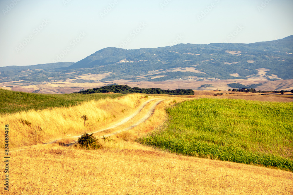 Fototapeta premium Val d'Orcia