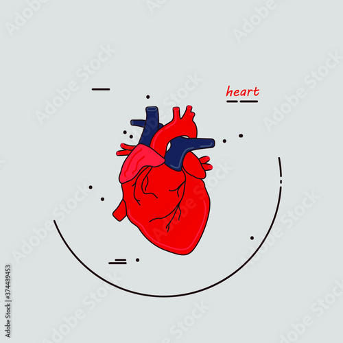 abstract, alcohol, alcoholism, arteries, artery, biology, concept, design, detoxification, diy, gastrointestinal, glycogen, graphic, hepatic, hormone, hospitality, human, icon, illustration, internal,