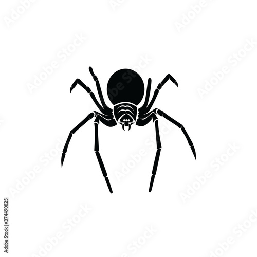 Spider Logo Template Design Vector
