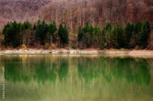 Otoño en el lago