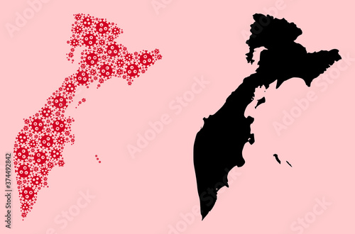 Vector Collage Map of Kamchatka Peninsula of Pandemic Virus Particles and Solid Map