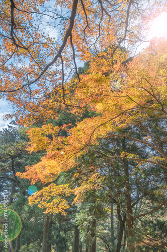 Beautiful Mountain Lu geopark landscapes in late autumn, Jiujiang, Jiangxi, China