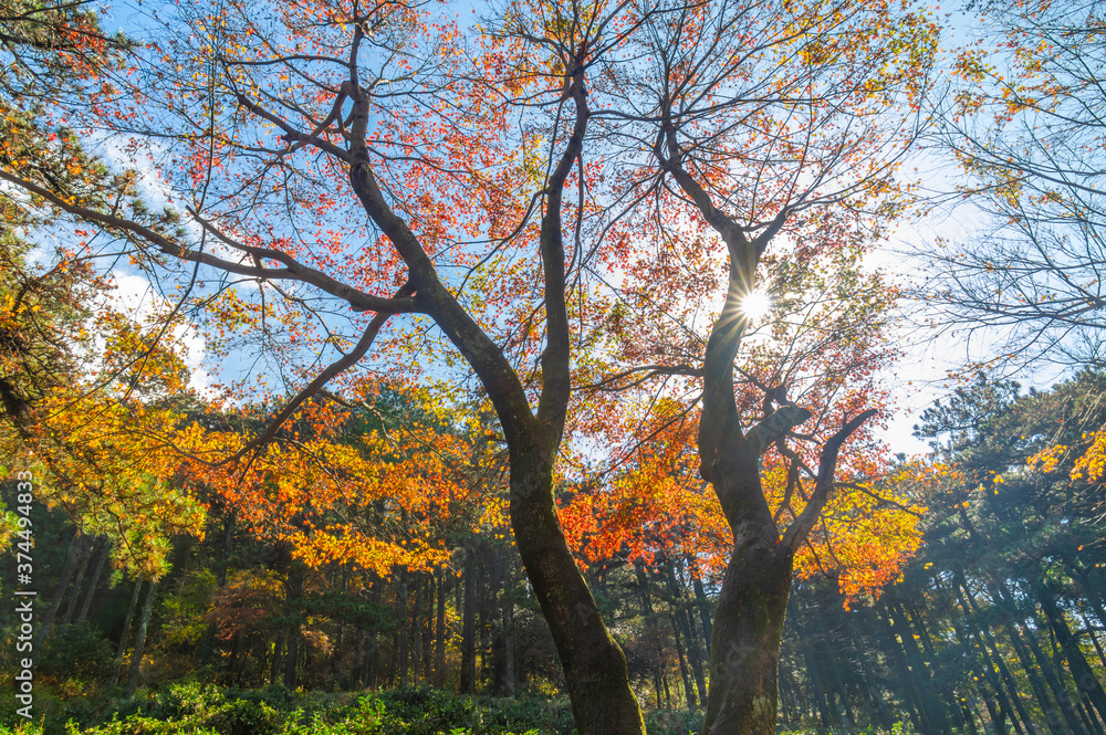 Fototapeta premium Beautiful Mountain Lu geopark landscapes in late autumn, Jiujiang, Jiangxi, China