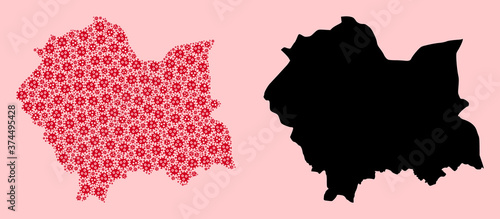 Vector Mosaic Map of Lesser Poland Province of Pandemic Virus Parts and Solid Map