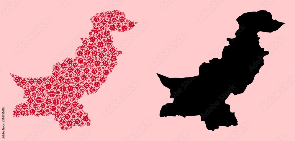 Vector Collage Map of Pakistan of Flu Virus Icons and Solid Map