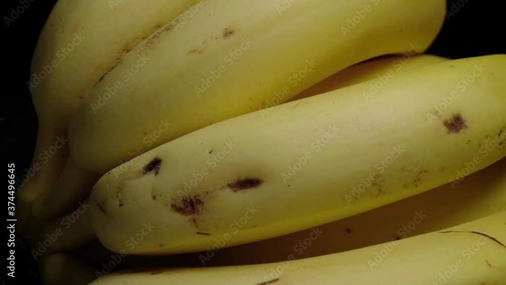 Yellow Banana Bunch Isolated on Studio Black Background, Closeup Pan Left Yellow Banana Bunch Isolated on Studio Black Background, Closeup Pan Left
