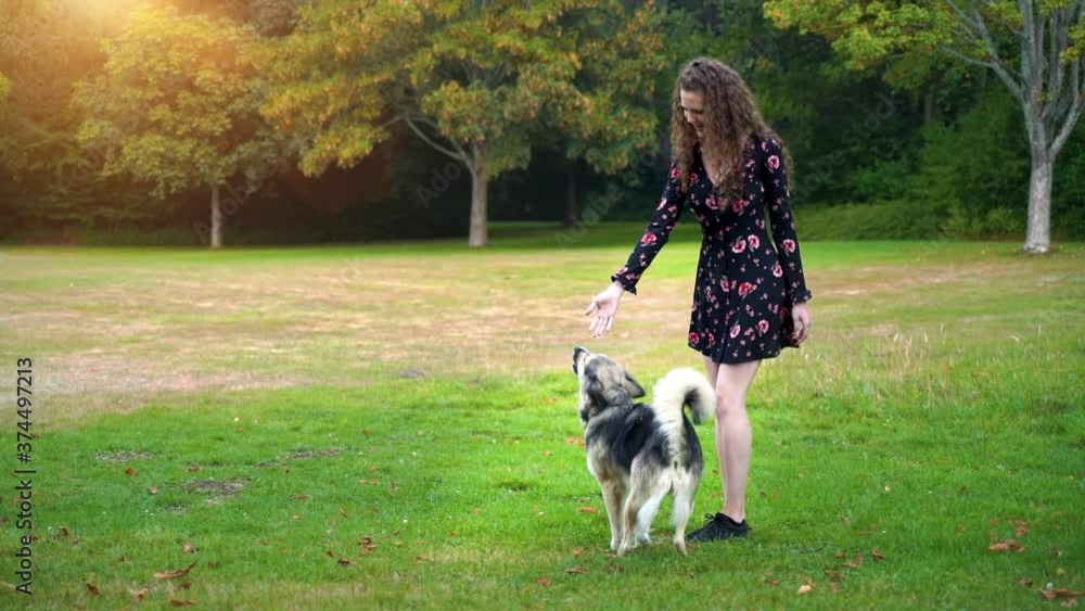 Girl playing with her dog in the park on a sunny day Girl playing with her dog in the park on a sunny day