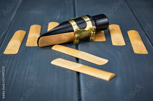 Εκτύπωση καμβά saxophone mouthpiece and reed with clamp and gold hardware along with replacemen