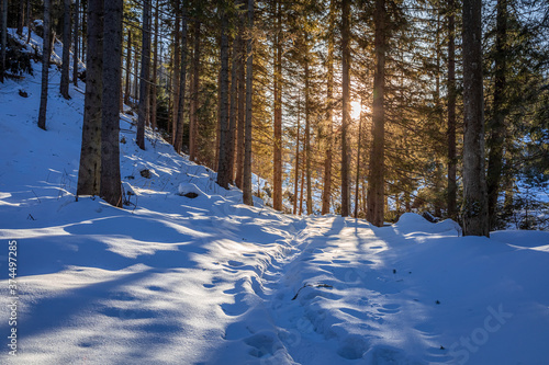 Stunning sunbeam at winter ...