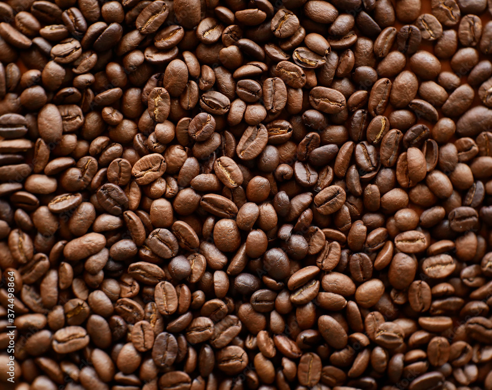 Obraz premium coffee bean for background, organic coffee seed