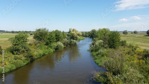 Rzeka Nida niedaleko miasta Pińczów