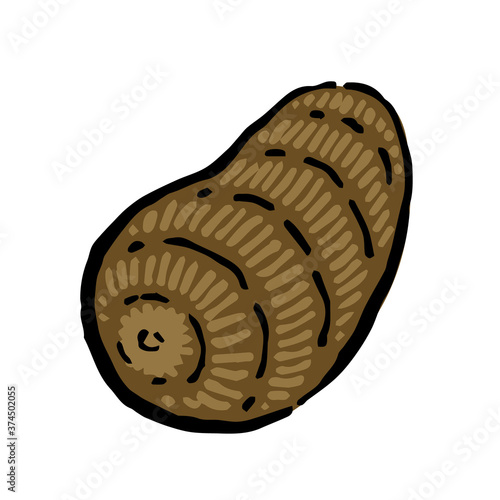 Illustration of Taro: Illustration like hand drawn illustration with ink and brush