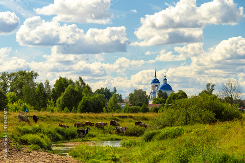 Landscape in the Nizhny Novgorod outback.
