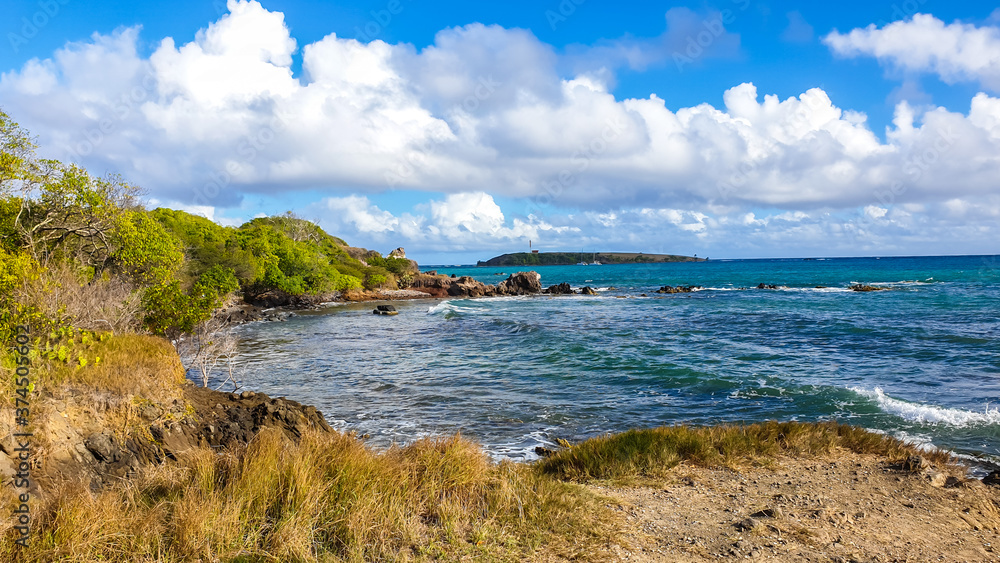 Obraz premium view of the Caribbean sea from the beach in Martinique