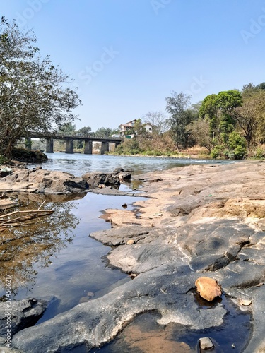 river in the forest