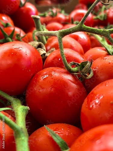 tomatoes on vine