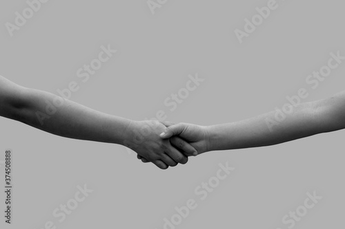 Handshake between the two partners. Black and white image. Female hand monochrome.