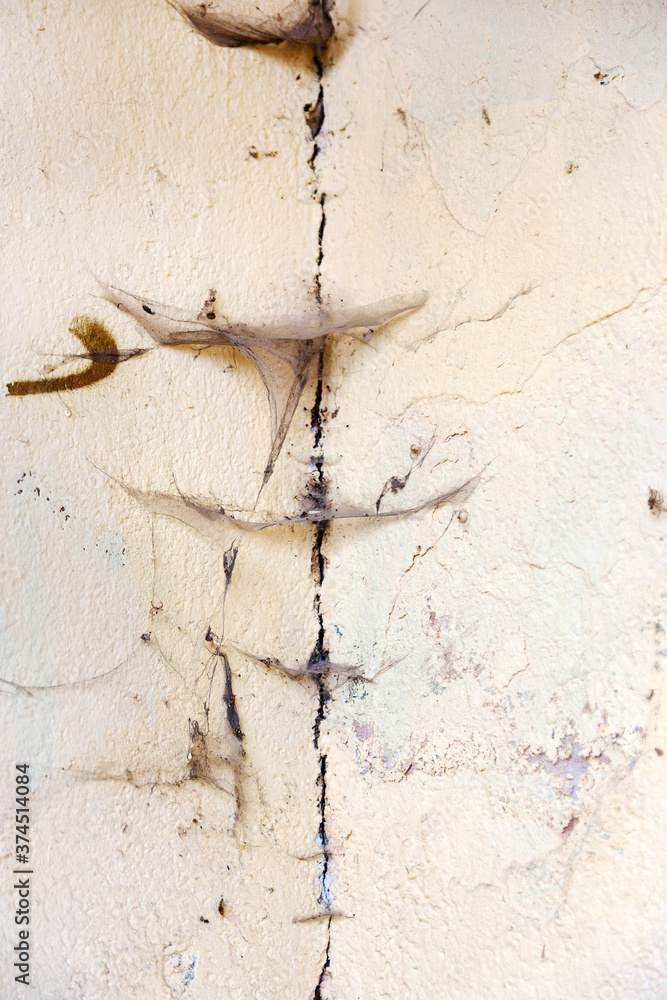 Obraz premium An old concrete wall with cobweb. As a vintage grunge background