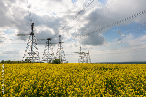 Power lines and high-voltage lines against the backdrop of blooming oilseed rape on a summer day.