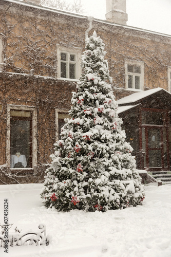 Snowfall. Urban streets and parks during a heavy snowfall in winter.