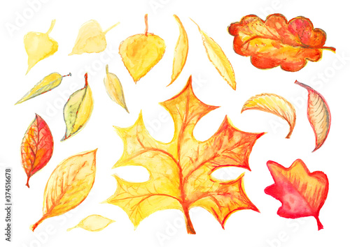 Watercolor autumn leaves or foliage silhouettes isolated