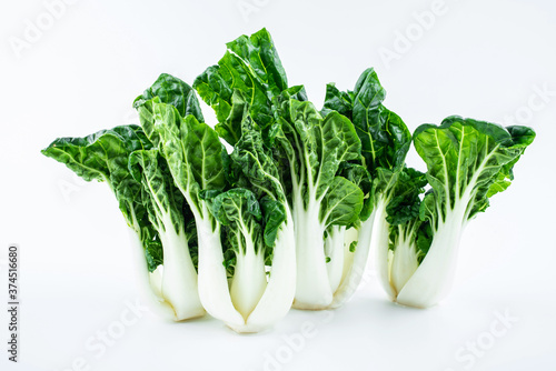 Fresh vegetable milk cabbage on white background