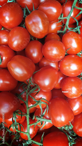 red fresh little tomatoes photo