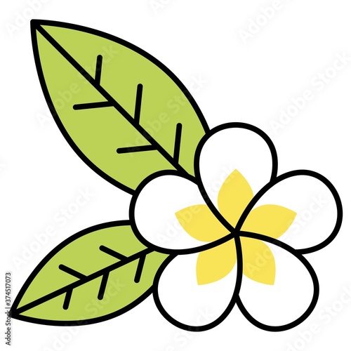 Plumeria flower icon, Summer vacation related vector