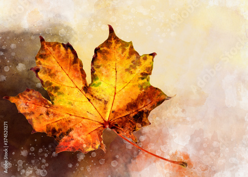 Autumn leave - watercolor on a white background. Fall illustration.