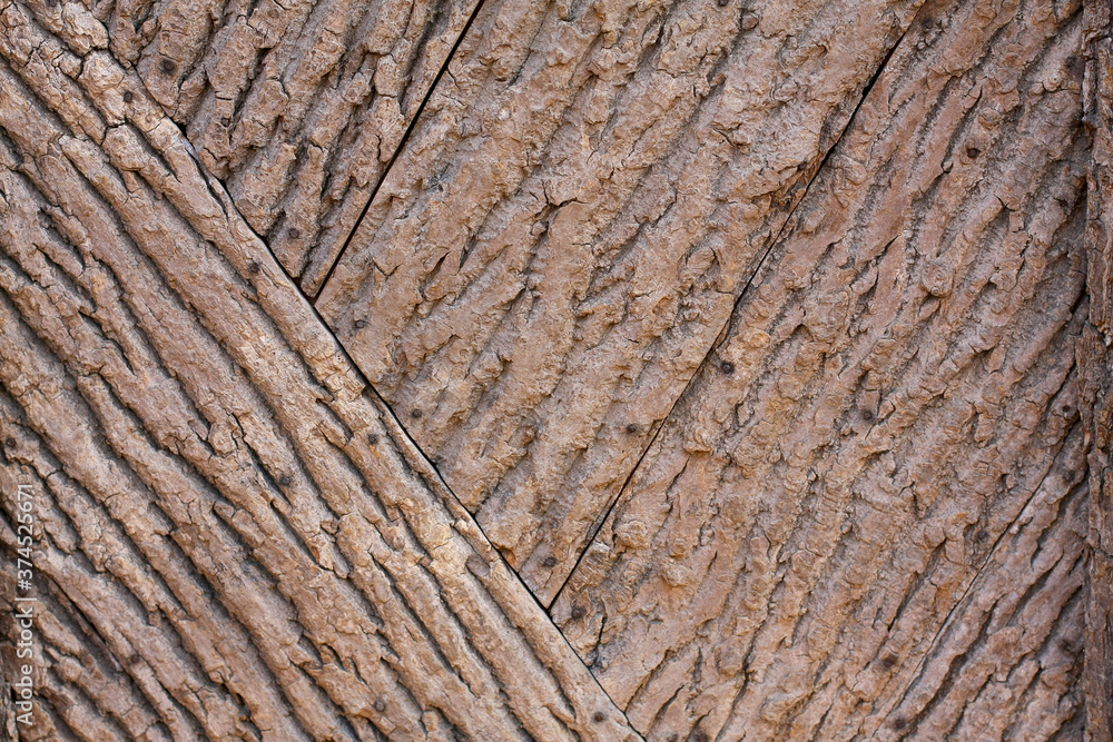 Embossed texture of the brown bark, as background for your design. Embossed texture of the brown bark, as background for your design.