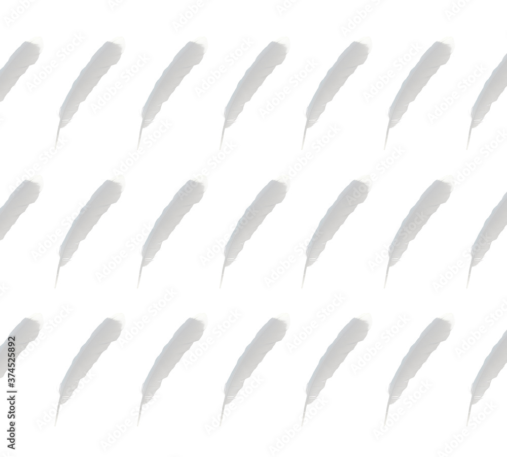 pattern of bird feathers pattern of bird feathers