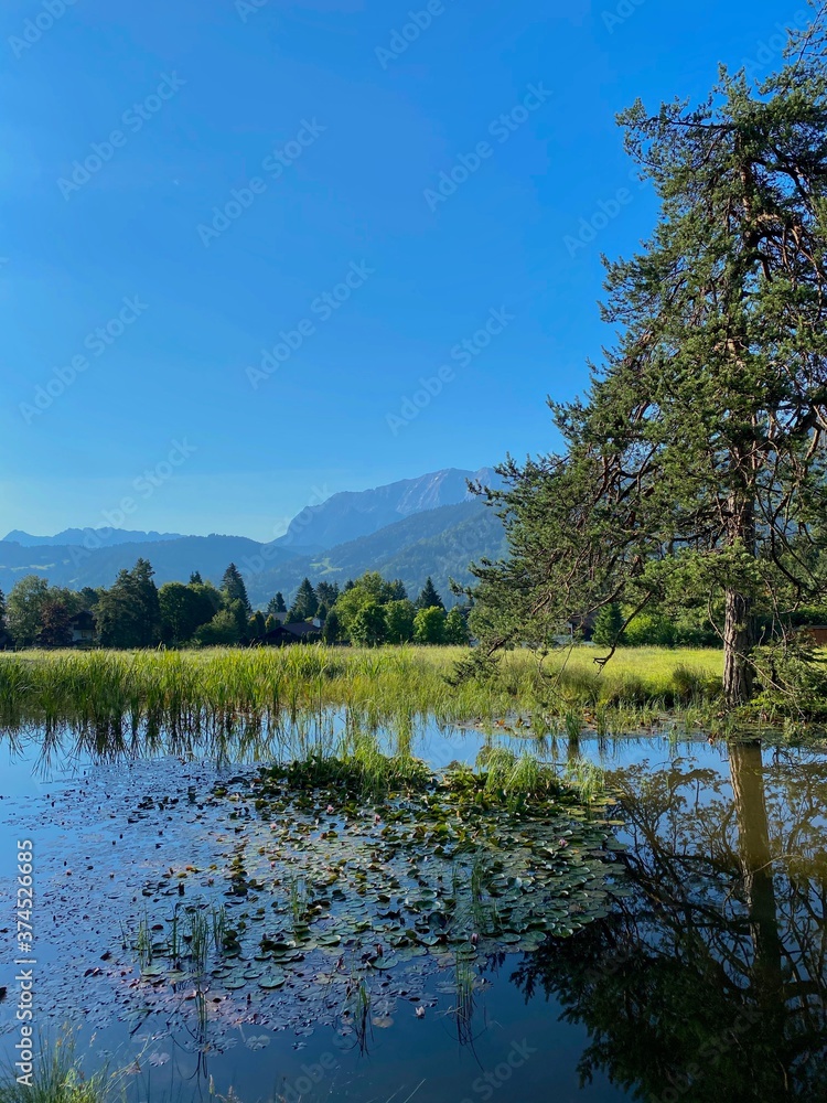 Romantic lake with tree reflection in green landscape, alps, Bavaria, Germany Romantic lake with tree reflection in green landscape, alps, Bavaria, Germany
