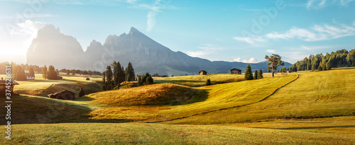 Wonderful nature landscape. Vivid morning over the alpine valley with fresh green grass and majestic rock mountain on background. Alpe di Siusi. Seiser Alm. Dolomites. Amazing natural background.