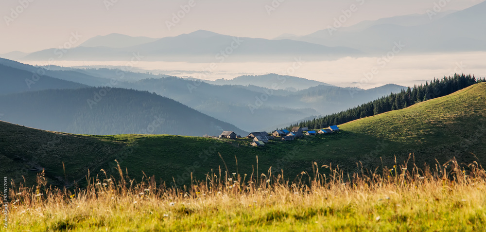 Wonderful mountain landscape. view of countryside, pine forest and mountains in fog on background. dramatic scene with dark overcast sky. image of nature in Carpathain mountains. vintage style photo