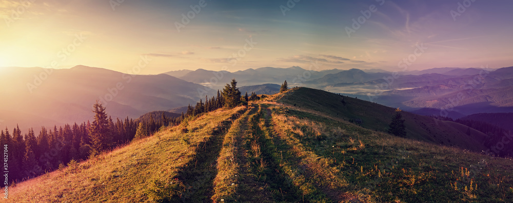 Scenic image of nature mountain landscape. stunning alpine valley with grassy, ground road during sunset. Mountain valley,  pine forest and silhouette of mountais at sunrise. Nature background photo - obrazy, fototapety, plakaty 