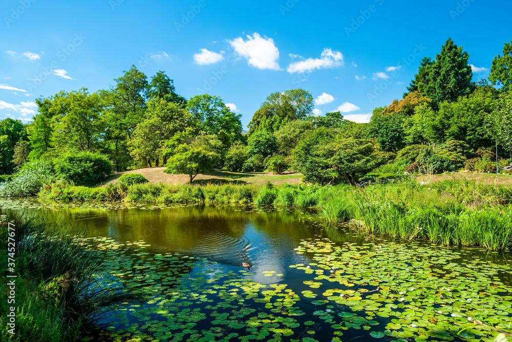 Scenic view of a pond in the Copenhagen Botanical Garden, part of the University of Copenhagen Faculty of Science.